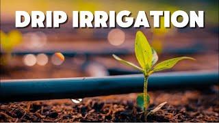 Watch This Before Installing Your Garden Watering System!