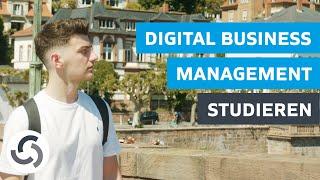 Digital Business Management (B.Sc.) studieren // Meine Erfahrungen im Studium