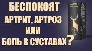 Гель Пантогор для суставов купить. Гель Пантогор