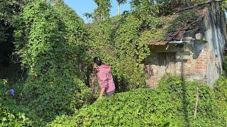 The neighbors were worried when they saw us cleaning the snake-filled house near their home