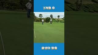 노력은 배반하지 않는다 골생아 탈출 #퍼스트골프 #golf #골프스윙 #골프레슨 #골린이 #golfswing #골린이성장일기#퍼트잘하는법