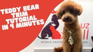 TEDDY BEAR HAIRCUT TUTORIAL IN 4 MINUTES