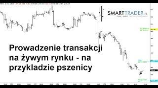 Prowadzenie otwartej pozycji na przykładzie pszenicy oraz analiza dolara amerykanskiego