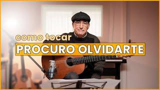 Como tocar PROCURO OLVIDARTE en Guitarra