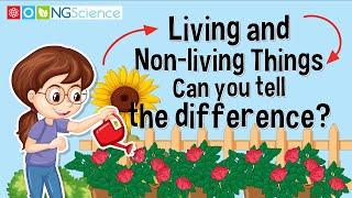 Living and Non-living Things – Can you tell the difference?