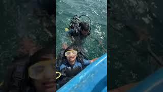 Scuba dive on birthday