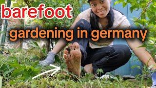 barefoot gardening in germany / garden tour /  planting season in germany