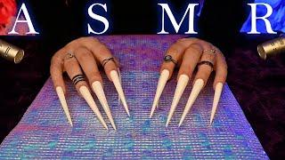 ASMR Gentle Tapping & Scratching W/ XXXL Nails to MELT Your Brain (No Talking)