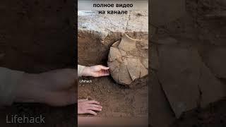 пажитник или шамбала #здоровье #пажитник #народнаямедицина