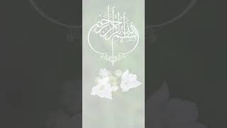 https://youtube.com/shorts/zr2ll2yWm7Q?si #love  Allah Hu Akbar video