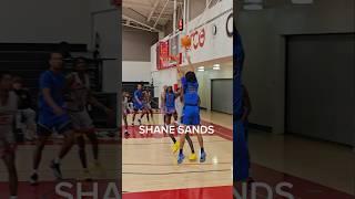 Shane Sands showing his range and defensive toughness