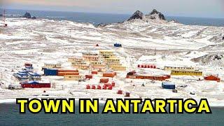 EXTREME Life In Antarctica,  Villa Las Estrellas