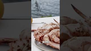 КРАСНАЯ ИКРА В КРАБЕ? #морепродукты #море #гребешок #краб #москва #владивосток #россия