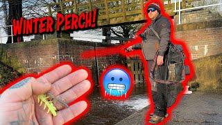 Winter Perch Fishing With Lures! -  First Time On a New Canal!