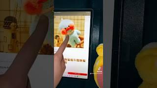 Может все таки шестую уточку лалафанфан?) УТЯ РАСПАКОВКА ПОСЫЛКИ ДЛЯ УТКИ #lalafanfan #duck #katy