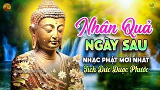 Liên Khúc Nhạc Phật Giáo Chọn Lọc - Nhân Quả Ngày Sau - LK Nhạc Tịnh Tâm Dễ Ngủ Hay Nhất 2024