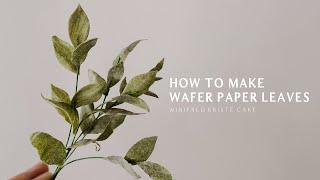 How to make Wafer Paper Leaves | Wafer Paper for Beginners (Extremely EASY!)
