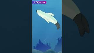 Underwater Animals | ABCmouse #animals #marinelife #sea #seal #fish #sealife #explore