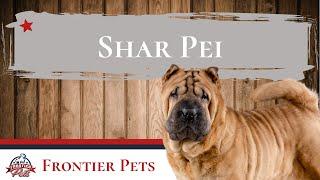 Shar Pei Breed Facts