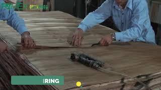 Film Faced Plywood  Manufacturing Process | Fomex Group