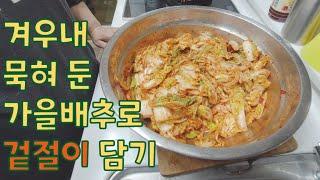 가을배추로 겉절이 담기 #가을배추 #김장배추 #겉절이 #산골감나무집