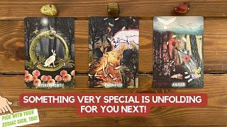 Something very special is unfolding for you next!  | Timeless Reading