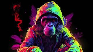 [ Drum And Bass Reggae 2024 ] LaChips : Real Monkey