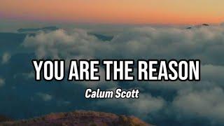 You Are The Reason(Calum Scott)