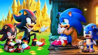 Brewing Cute Baby BUT Poor SONIC Vs Rich SHADOW?!| Funny Story | Sonic The Hedgehog 3 Animation