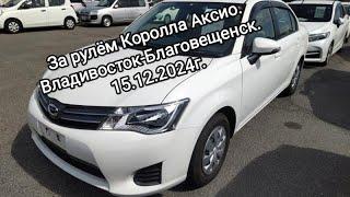 Владивосток-Благовещенск. 15.12.2024г. Королла есть Королла.