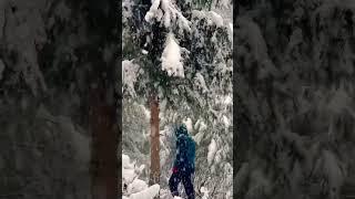 Winter#shorts #viral #reels #subscribe #nature #post #shortvideo #youtubeshort #explore #snow