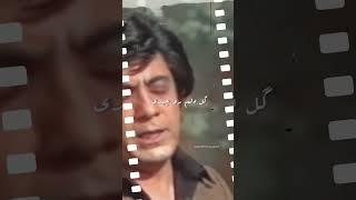 #گلپا #هایده #موسیقی #موسیقی_رادیو #آهنگ #اهنگ #آهنگ_جدید #سنتی_ایرانی #قدیمی #قدیم #رنگارنگ #رادیو