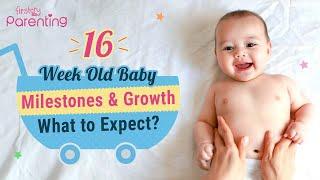 16 Week Old Baby: Development & Milestones | 4 Month Old Baby Development