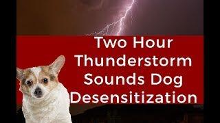 Violent Thunderstorm Dog Sound Training Desensitization Two Hour Nonstop