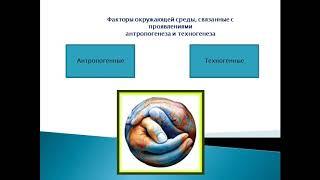 Лекция Система безопасности