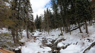 Wuksachi Lodge to Lodgepole Campground at Sequoia NP