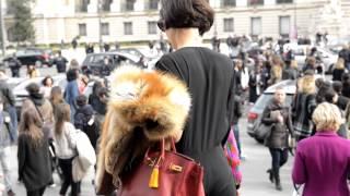 Paris: city of lightness in fur