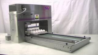 Nuovo Egg Printer - Egg-Jet BAN 1-50