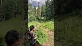 57 yard shot on a mini elk target #hunter #shorts #bowhunter #archery #totalarcherychallenge #tac
