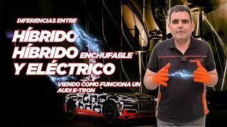  HÍBRIDO, HÍBRIDO ENCHUFABLE Y ELÉCTRICO - ¿Cuáles son las diferencias entre estos coches?