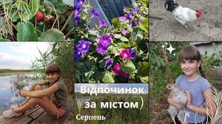 Життя за містом. Частина 2. Серпень.