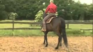 Entspanntes Reiten 2, Peter Kreinberg, pferdia tv youtube original