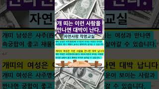 #sohrts로또 #개띠궁합 #로또평생번호1등예상번호 #자연스타일로또 # 개띠는누구를만나면대박이나는가 #닭띠  #말띠 #뱀띠 #소띠 #양띠 #용띠 #범띠 #쥐띠#원숭이 #개띠속궁합