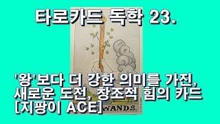 타로카드 독학 23. 지팡이(완즈) ACE. ‘왕’보다 더 중요한 의미를 지닌, 새로운 도전, 창조적 힘의 카드 WANDS ACE