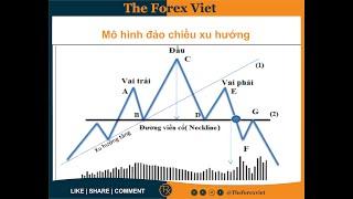 Mô Hình Vai Đầu Vai -  Bạn đã hiểu đúng ?