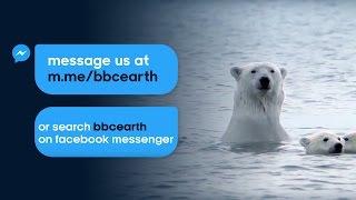 Introducing the Happybot | Real Happiness Project | BBC Earth