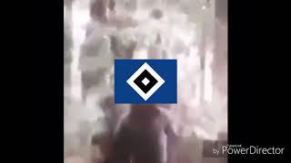 Hamburg relegated for the first time (feat thanos)