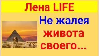 Лена LIFE. Обзор влогов.  17 03 2025 Лена