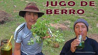 PREPARANDO JUGO DE BERRO BENEFICIOS Y PROPIEDADES | POR QUE DEBO CONSUMIR BERRO | PLANTA MILAGROSA