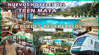 Abren sus puertas 4 de 6 hoteles Tren Maya, Tulum, Chichén Itzá, Edzná y Calakmul